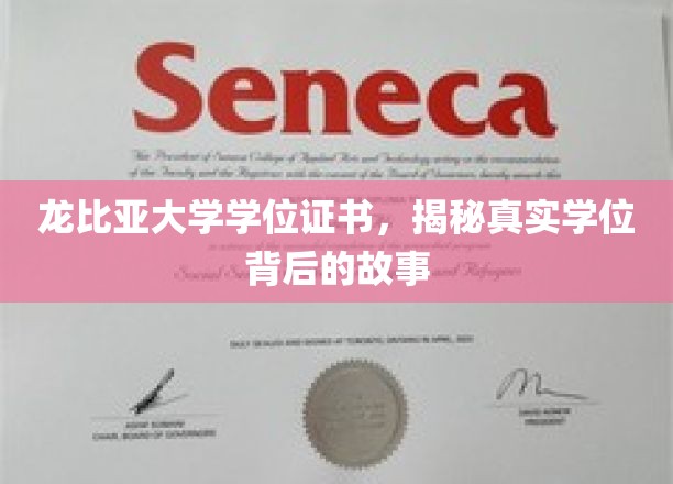 龙比亚大学学位证书，揭秘真实学位背后的故事