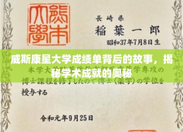 解码威斯康星大学，揭开学术辉煌的神秘面纱
