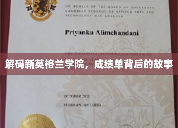 解码新英格兰学院，成绩单背后的故事