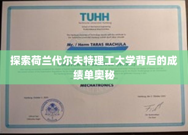 解码荷兰代尔夫特理工的卓越成就密码