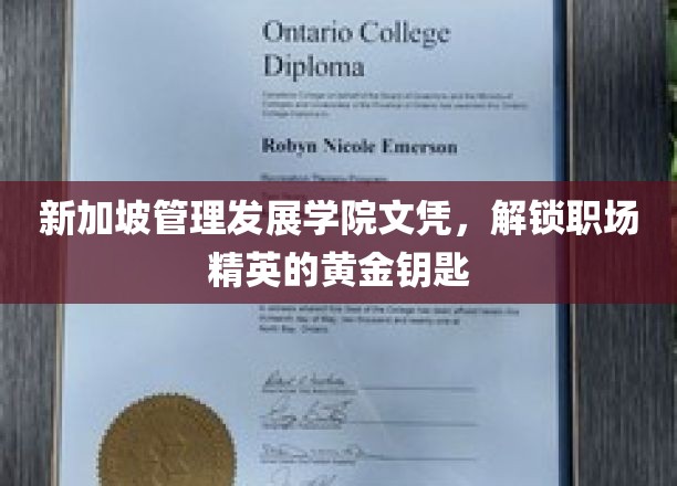 新加坡MDI文凭，助力职场精英开启成功之门