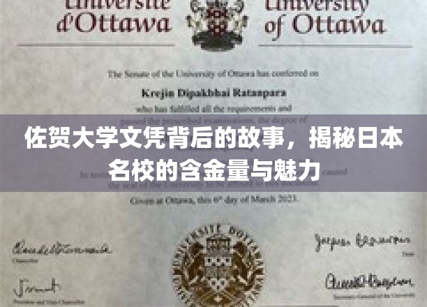 探寻佐贺大学文凭的奥秘，日本顶级学府的魅力与价值深度解析