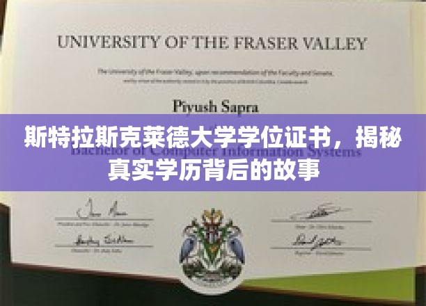 斯特拉斯克莱德学位证之谜，探寻真实学历背后的传奇旅程