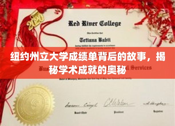 纽约州立大学成绩单背后的故事，揭示学术成就的奥秘