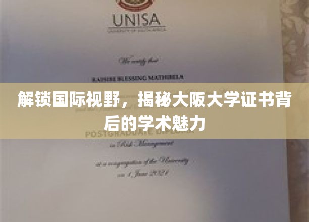 大阪大学证书，探寻其背后的全球学术影响力