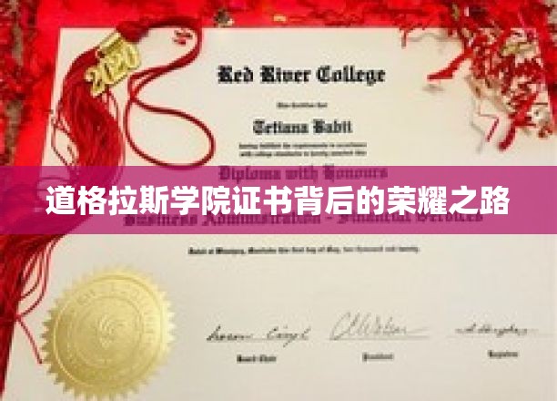 探索道格拉斯学院证书背后的辉煌足迹