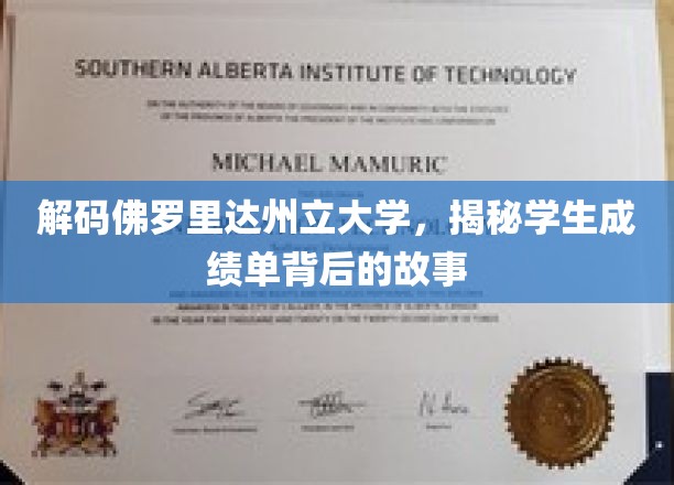 解码佛罗里达州立大学，揭秘学生成绩单背后的故事