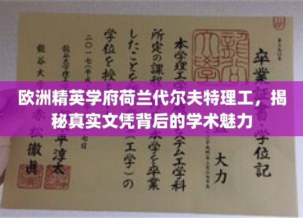 探索荷兰代尔夫特理工，欧洲精英学府的学术风采与真实文凭价值