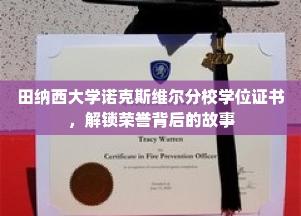 探寻田纳西大学荣誉证书背后的荣耀轨迹