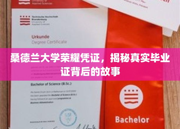 探寻桑德兰大学毕业证背后的传奇与荣耀