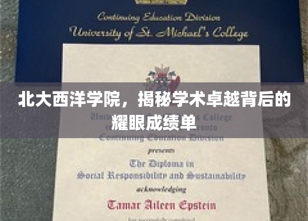 北大西洋学院，揭秘卓越学术背后的辉煌成就