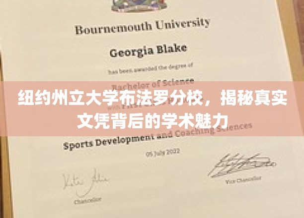 探寻纽约州立大学布法罗分校，文凭背后的学术风采揭秘