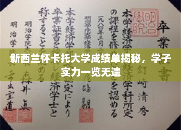 新西兰怀卡托大学成绩单背后的学霸风云录