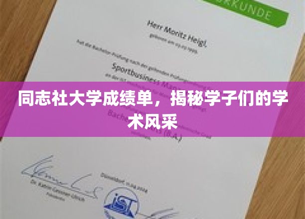 同志社大学学子风采展，一纸成绩单背后的学术传奇