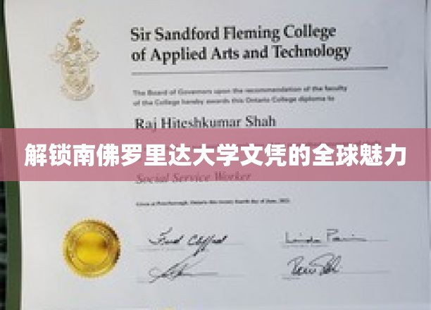 探寻南佛罗里达大学文凭的国际吸引力之路