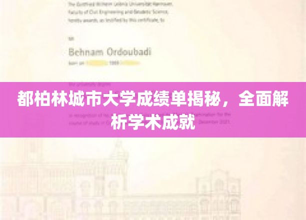 都柏林城市大学成绩单揭秘，全面解析学术成就