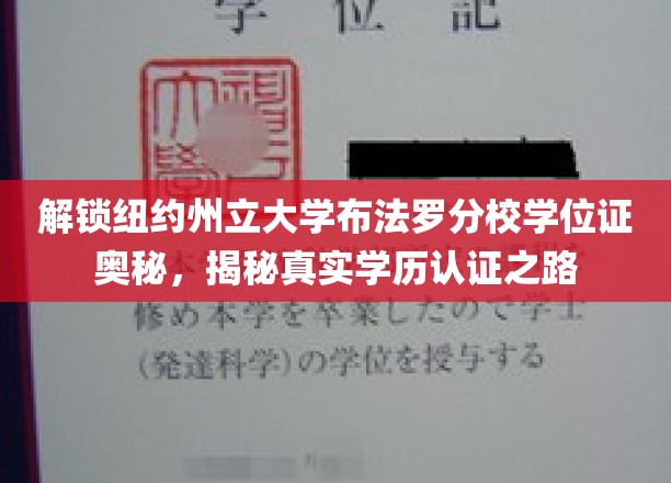 揭开纽大布法罗分校学位证背后，探寻学历认证的神秘之旅