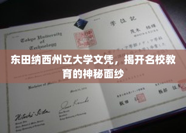 东田纳西州立大学文凭，揭开名校教育的神秘面纱