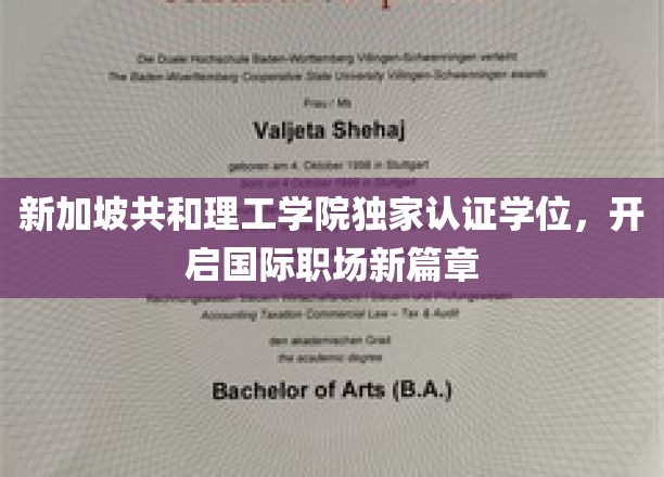 新加坡共和理工学院独家认证学位，开启国际职场新篇章
