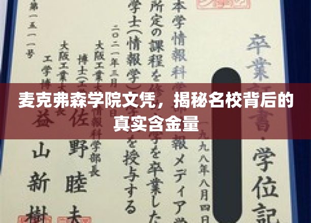 探秘麦克弗森学院文凭，名校光环下的真实价值解析