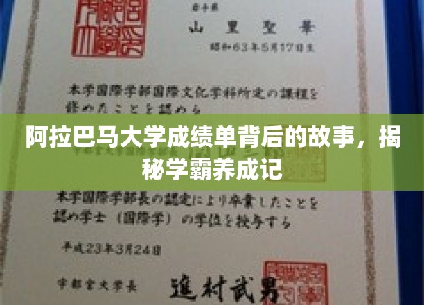 学霸之路，阿拉巴马大学成绩单背后的励志篇章