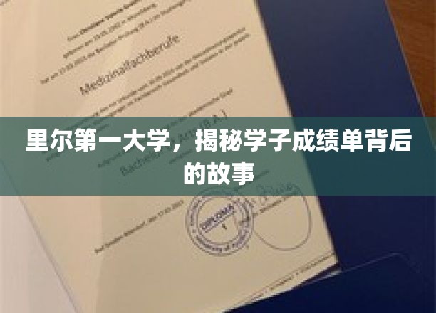 里尔学府揭秘，学子成绩单背后的青春足迹