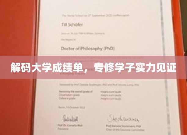 成绩单背后的实力密码，揭秘专修学子的卓越之路