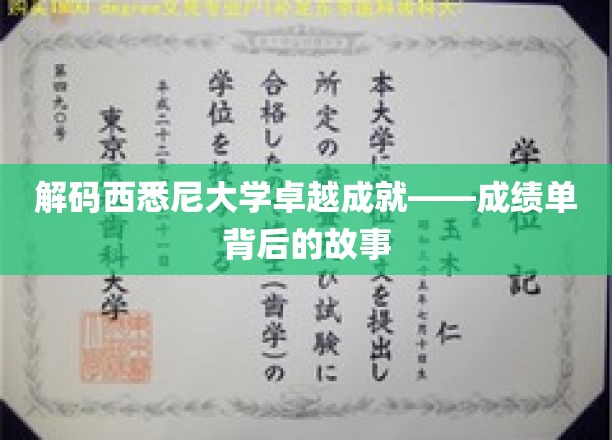 西悉尼大学辉煌成就揭秘，探寻卓越背后的成长轨迹