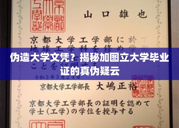 真假难辨，加图立大学文凭风波，揭秘现代学历造假乱象