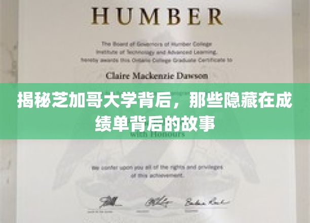 揭秘芝加哥大学背后，那些隐藏在成绩单背后的故事