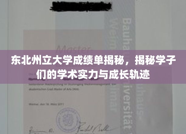 东北州立大学成绩单背后的学子实力与成长画卷