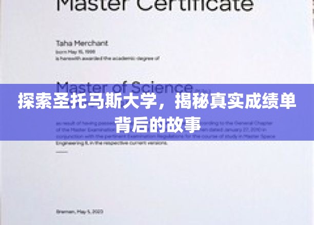 揭开圣托马斯大学成绩单背后的神秘面纱