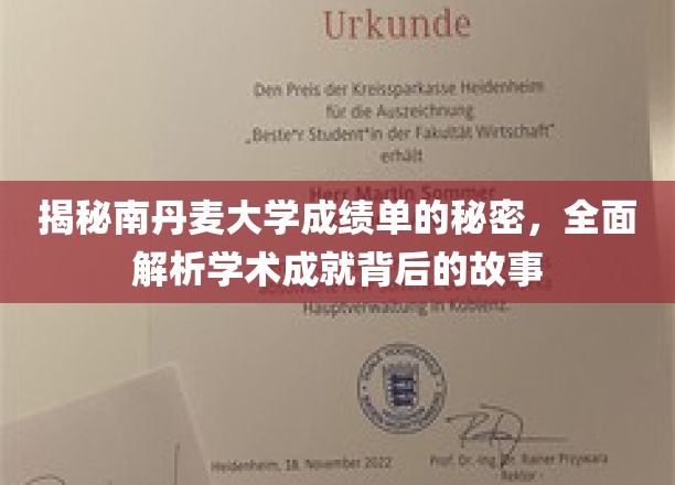揭秘南丹麦大学成绩单的秘密，全面解析学术成就背后的故事