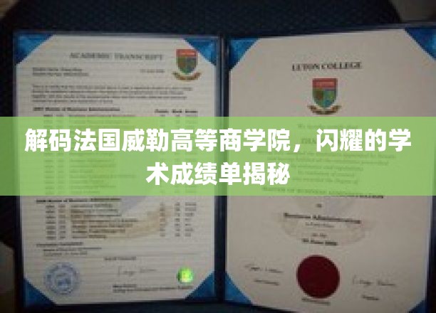 法国威勒高等商学院，揭秘卓越学术成就背后的秘密力量