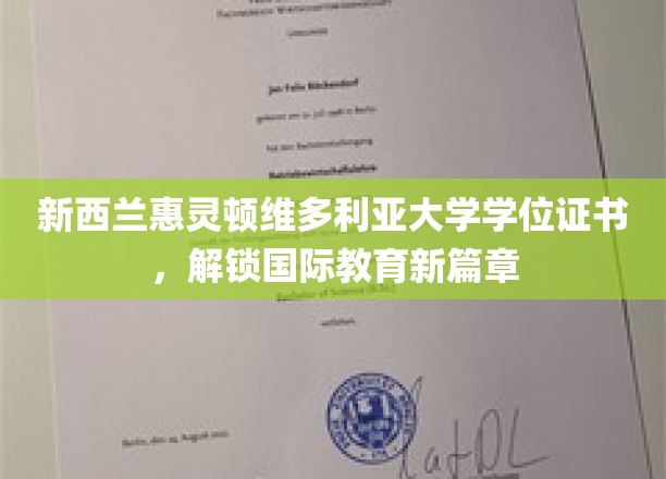 惠灵顿维大文凭，引领全球教育新里程