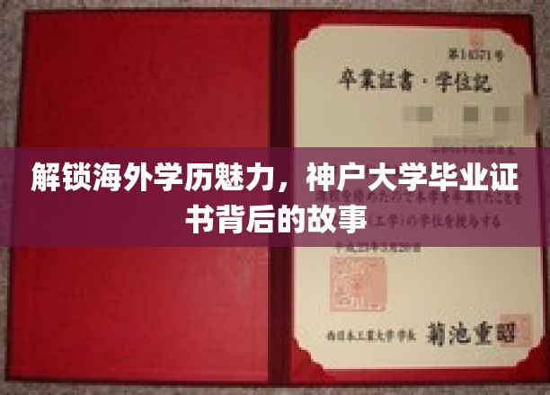跨国梦想照进现实，神户大学证书背后的留学传奇