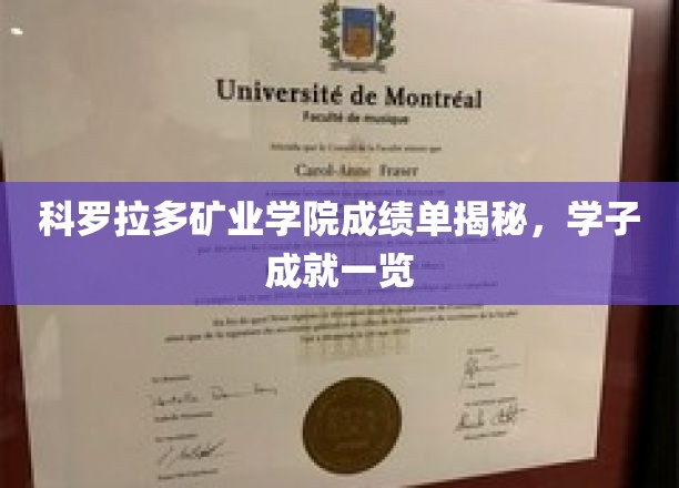 矿业精英风采展，科罗拉多学子成绩单大揭秘
