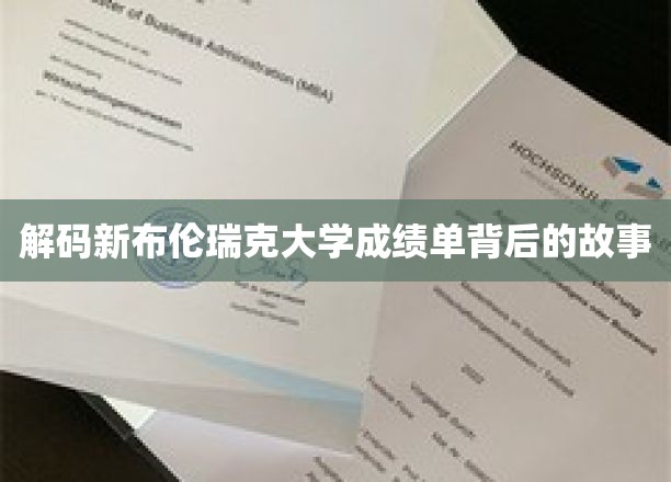 揭秘新布伦瑞克大学成绩单里的奥秘之旅