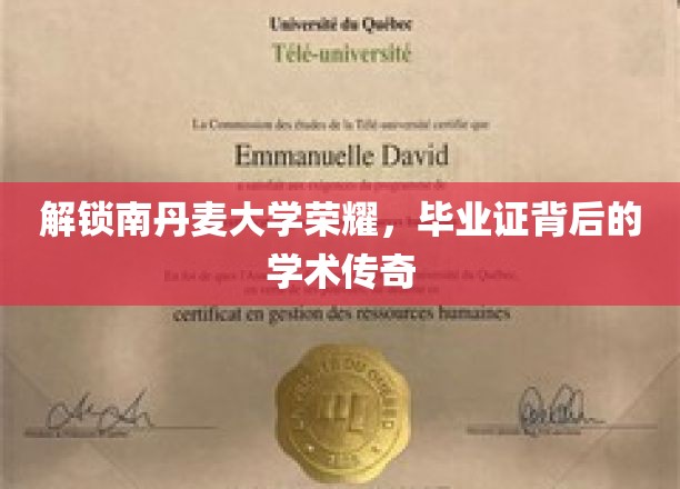 南丹麦大学荣耀揭秘，毕业证背后的学术传奇之旅