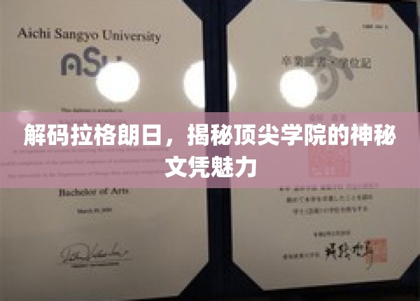 解码精英学府，探寻拉格朗日文凭的非凡吸引力
