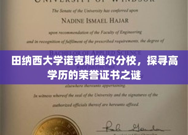 揭开田纳西大学诺克斯维尔分校高学历证书的神秘面纱