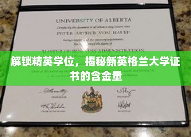 新英格兰大学证书价值大揭秘，精英学位的通行证！