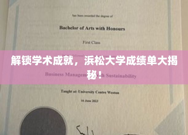 探索浜松大学学术荣耀，一窥辉煌成绩单背后的故事