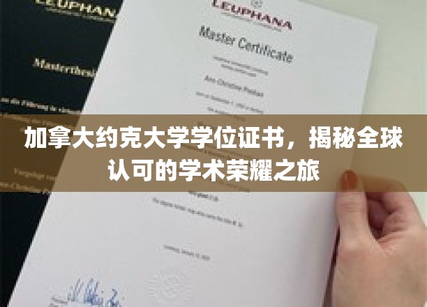 解锁国际荣耀，约克大学学位证书的全球认可之旅