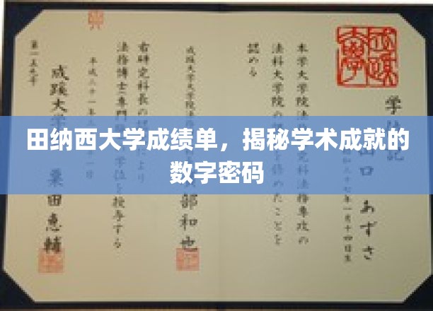 解码田纳西大学成绩单，揭秘学术辉煌的数字秘密