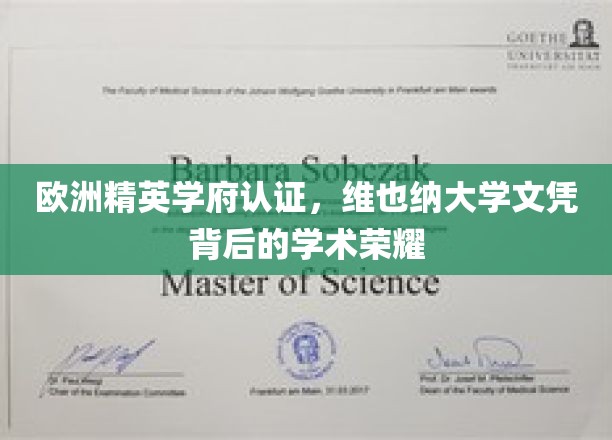 揭开维也纳大学精英认证的学术辉煌之谜