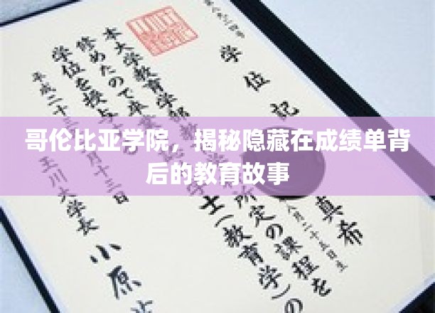 揭开哥伦比亚学院成绩单背后的教育奥秘之旅