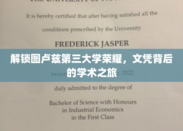 解锁图卢兹第三大学荣耀，文凭背后的学术之旅
