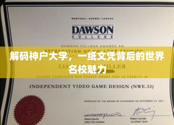 解码神户大学，一纸文凭背后的世界名校魅力
