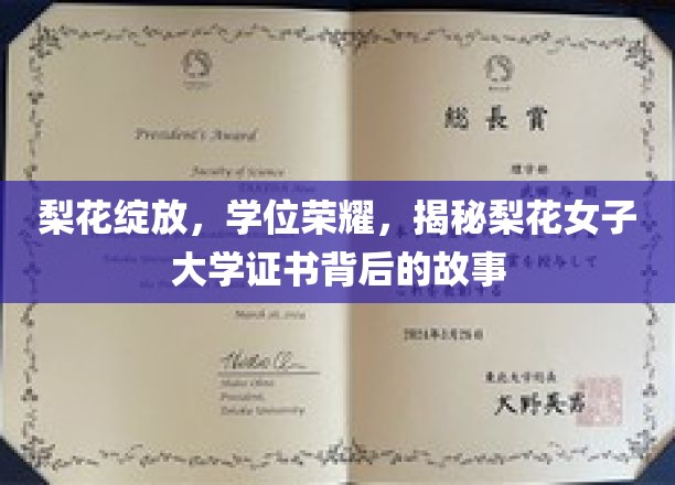 梨花映辉，探索梨花女子大学学位证书背后的荣耀之谜